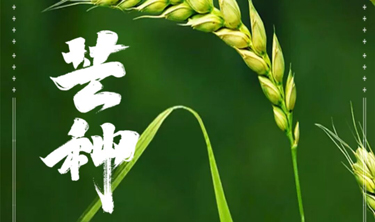 bet9九州酷游(中国)有限公司官网