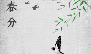 bet9九州酷游(中国)有限公司官网